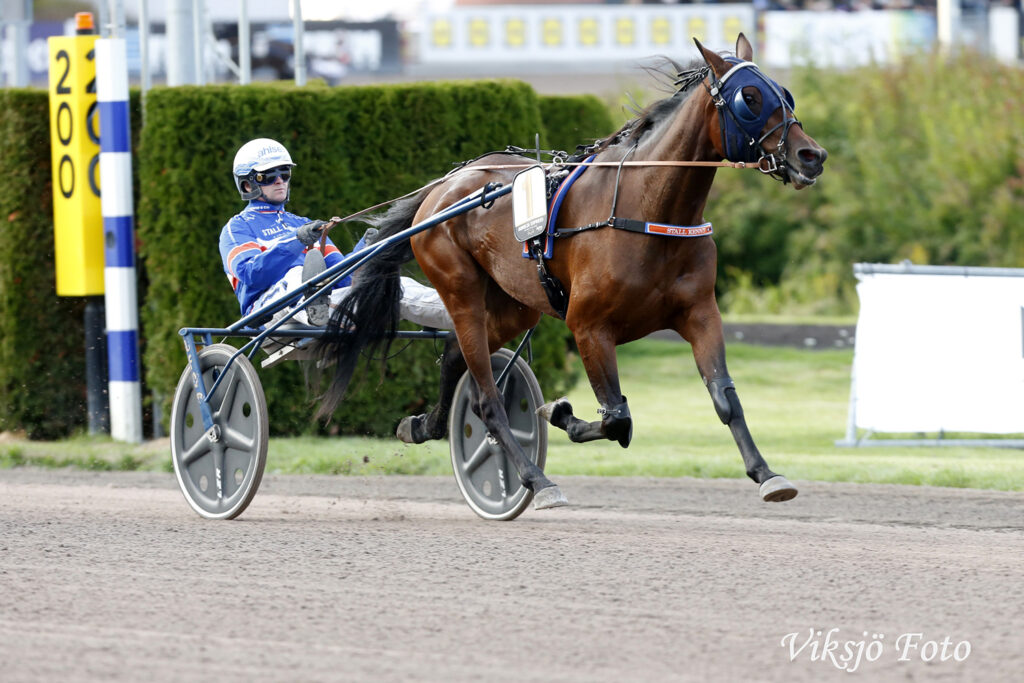 Andelshästen Aurelia Express startar i semifinal i Breeders Crown