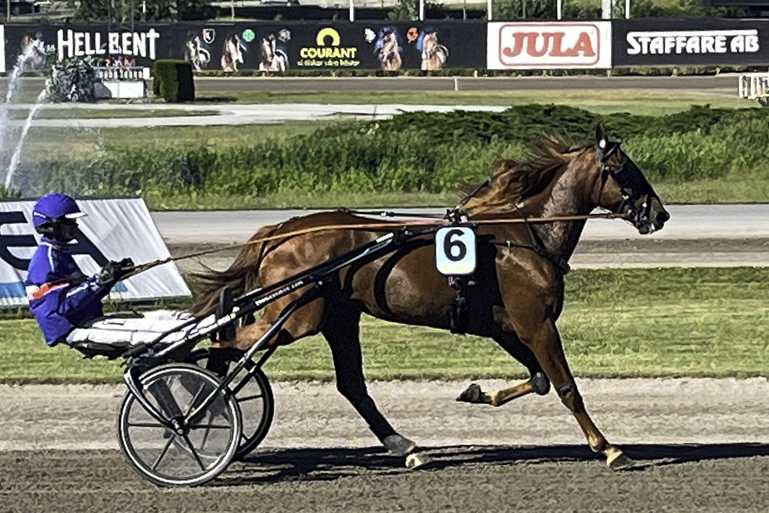 ASTA EXPRESS