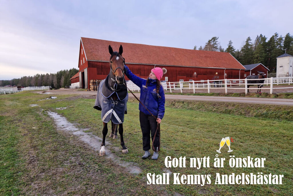 Gott Nytt År önskar Stall Kennys Andelshästar