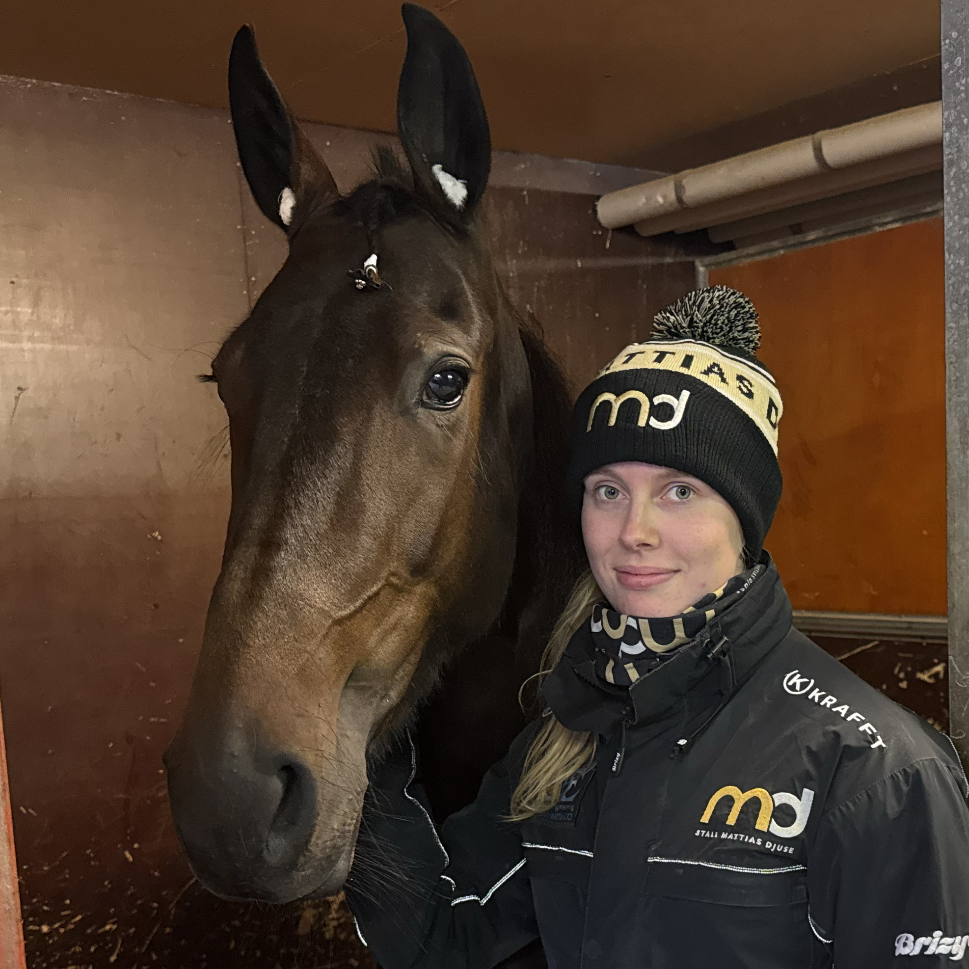 horse.staff.skotare