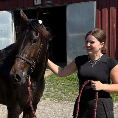 horse.staff.skotare