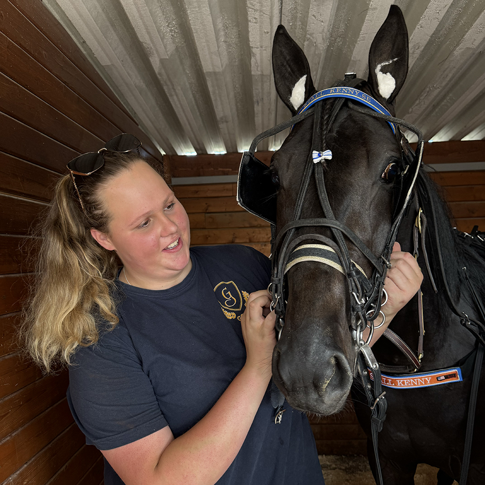 horse.staff.skotare