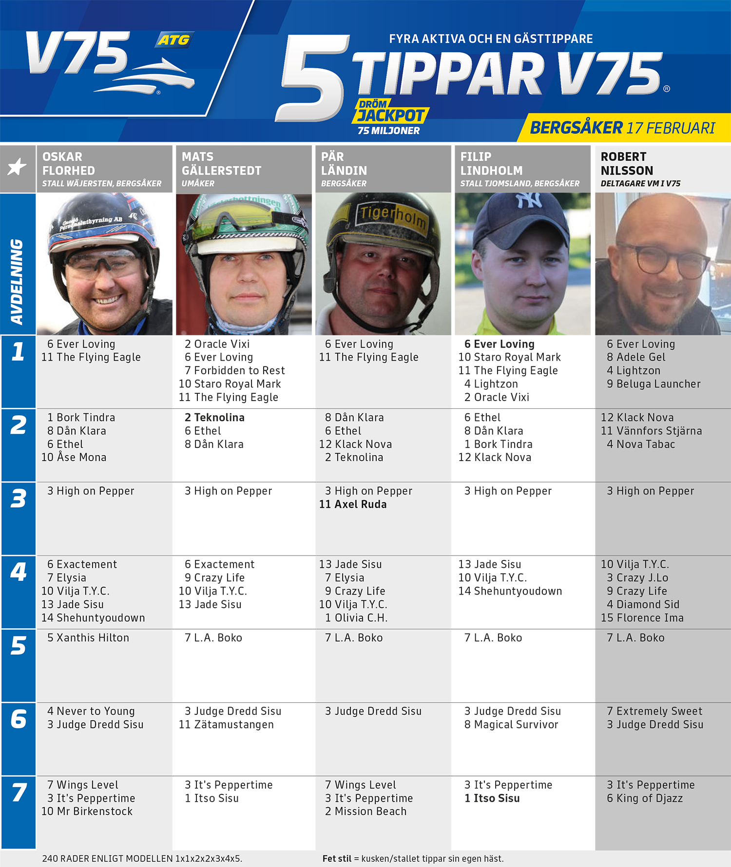 Fem Tippar V75 Bergsåker lördag 17 februari
