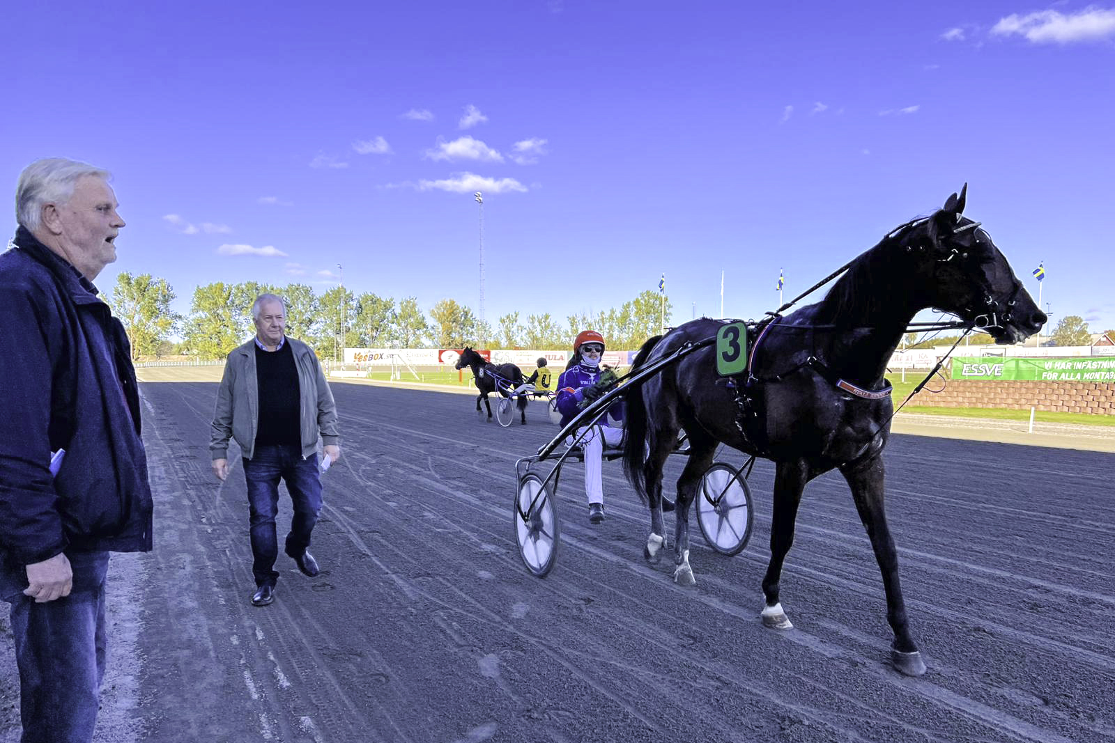 Andelshästen Myth’s Legacy gör debut i monté