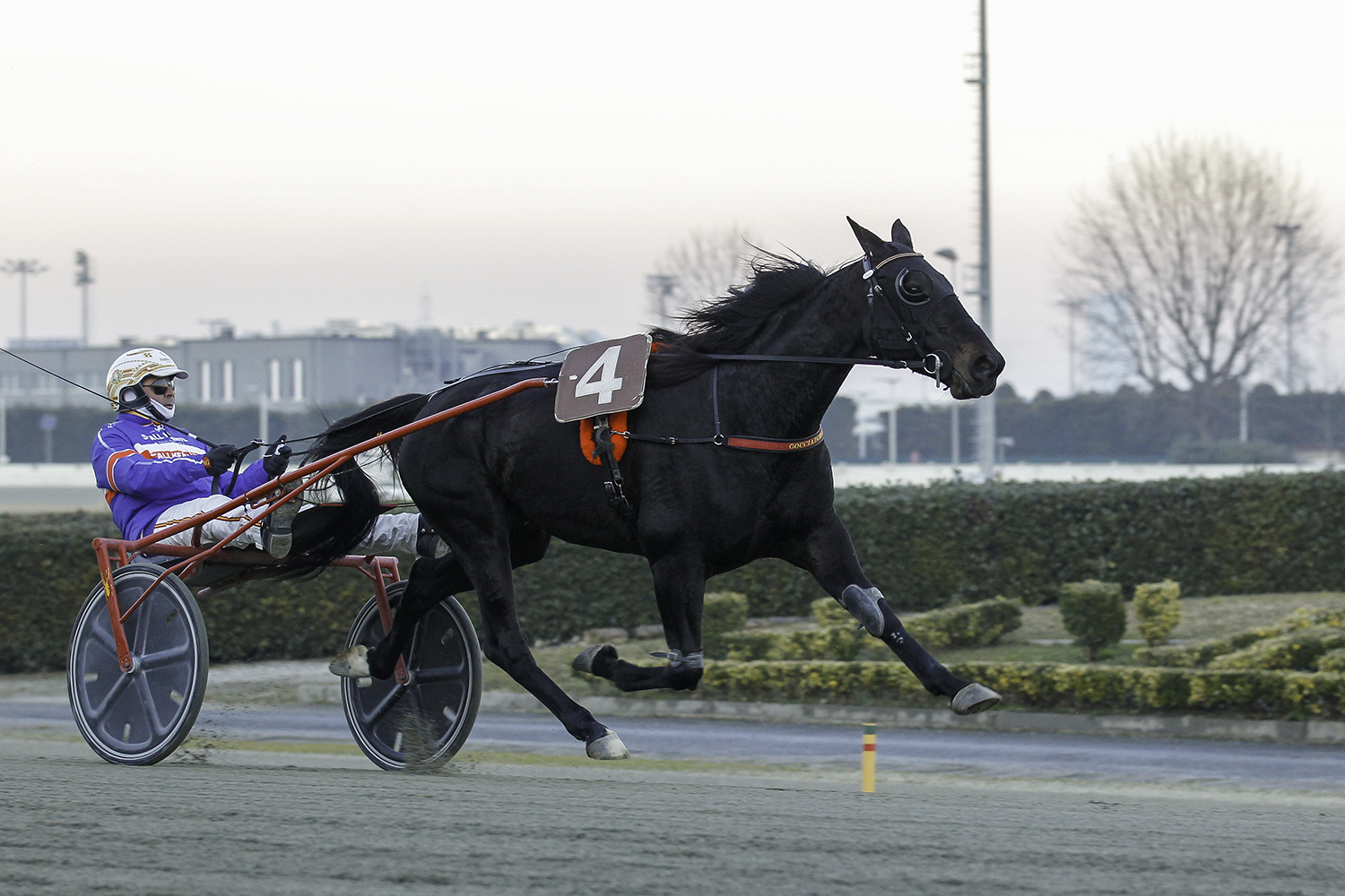 Andelshästen Hall of Fame startar i Florens på tisdag