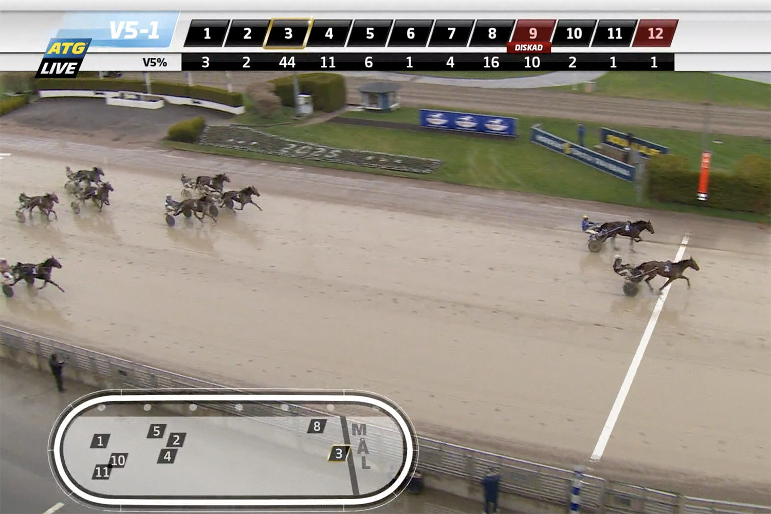 Andelshästen Jewel In the Crown tvåa i mål på Solvalla