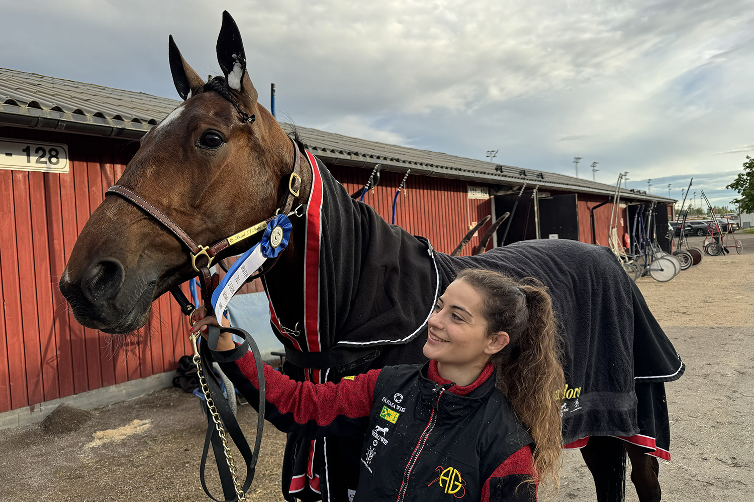 Andelshästen Head of State startar på Solvalla