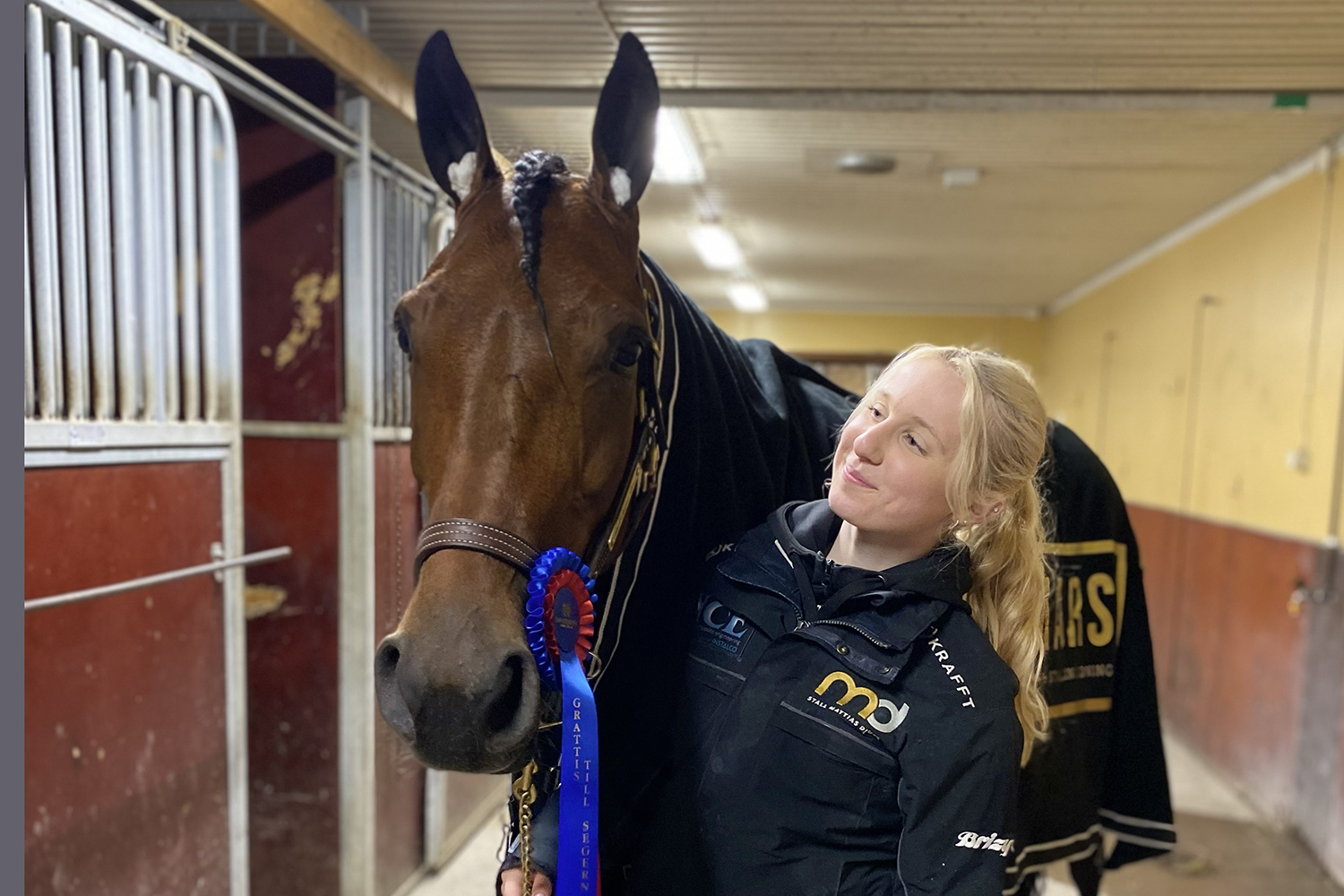 Andelshästen In Real Life startar på Solvalla