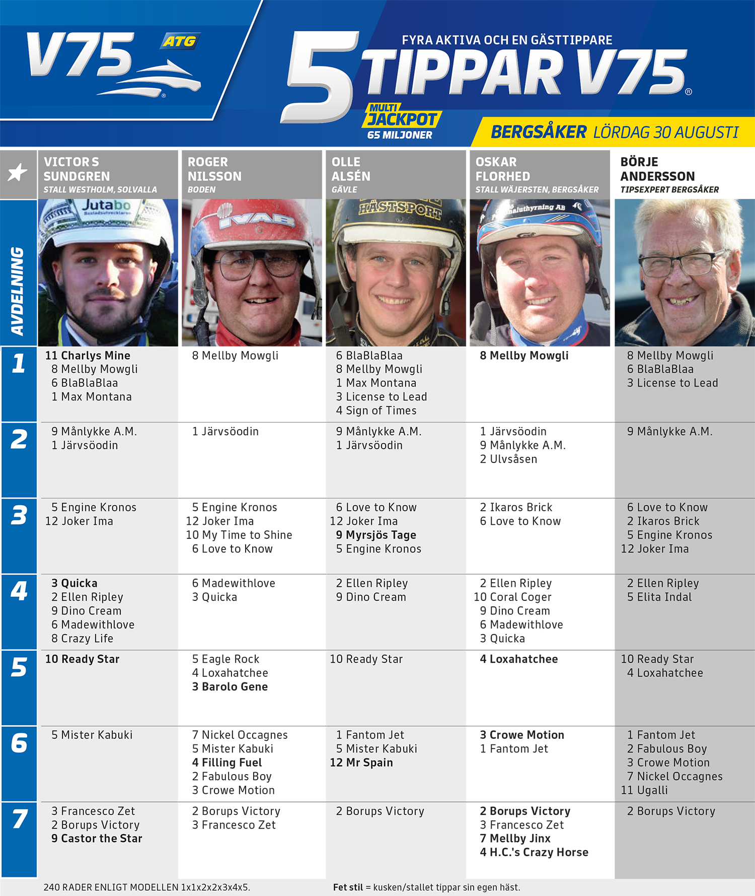 Fem Tippar V75 Bergsåker lördag 30 augusti