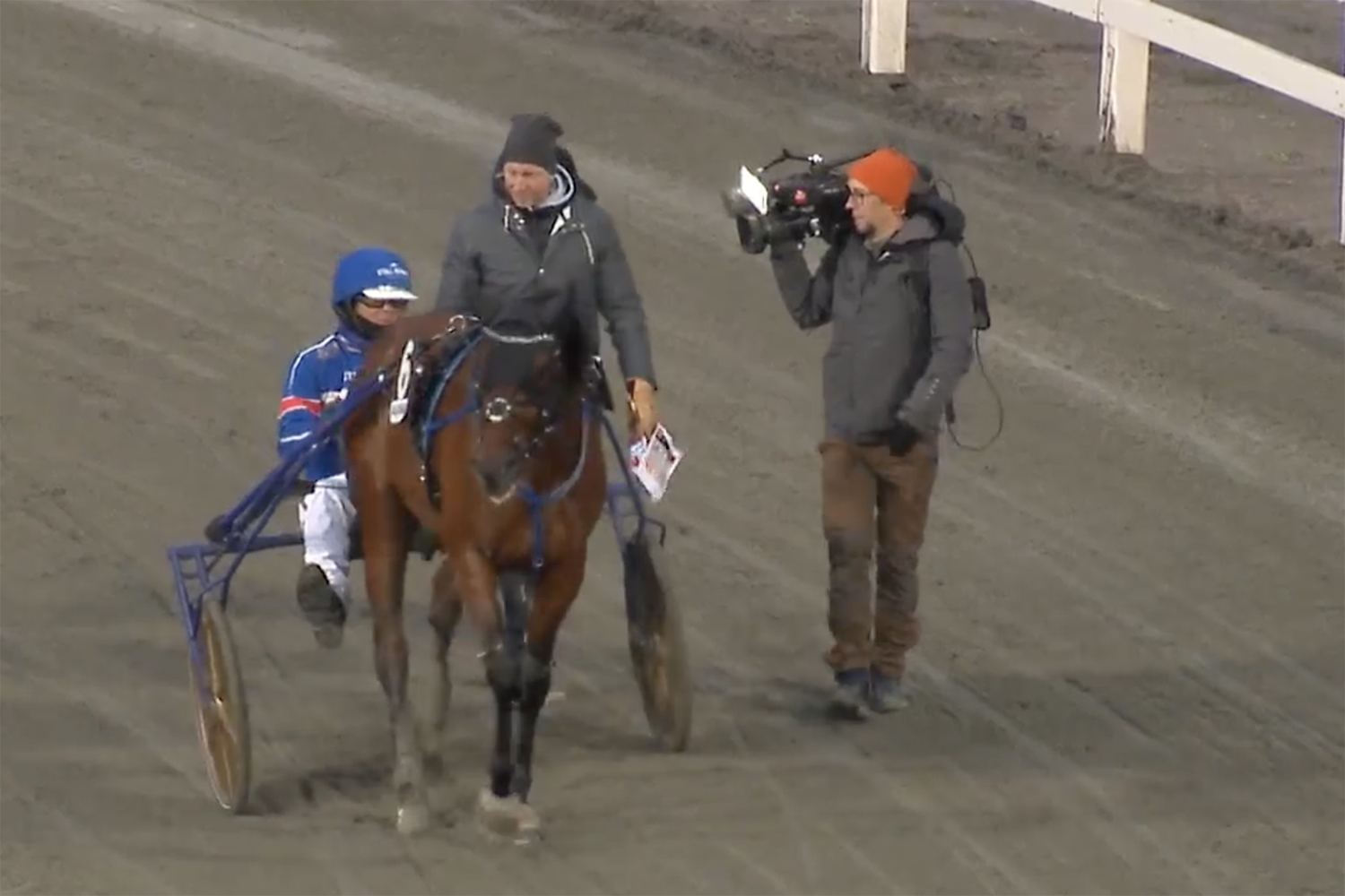 Seger nummer 14 i år för Stall Kennys Andelshästar